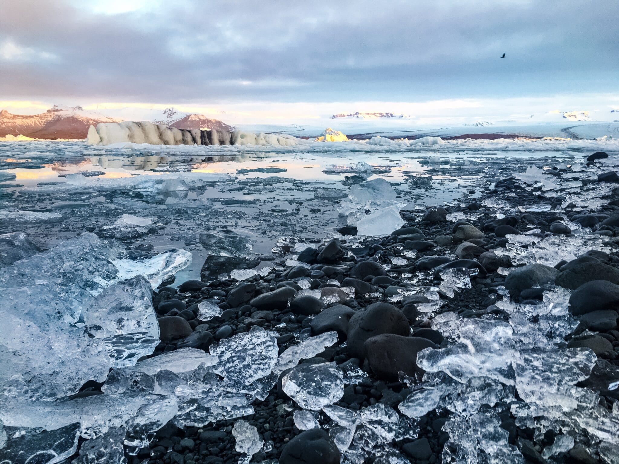 Diamond Beach Ice Breiðamerkursandur