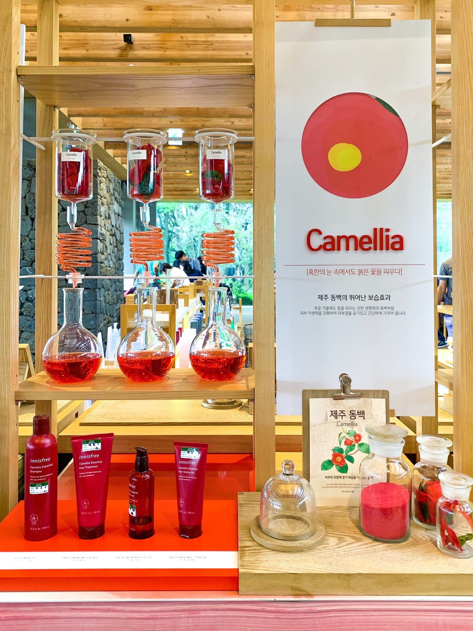 innisfree jeju house camellia