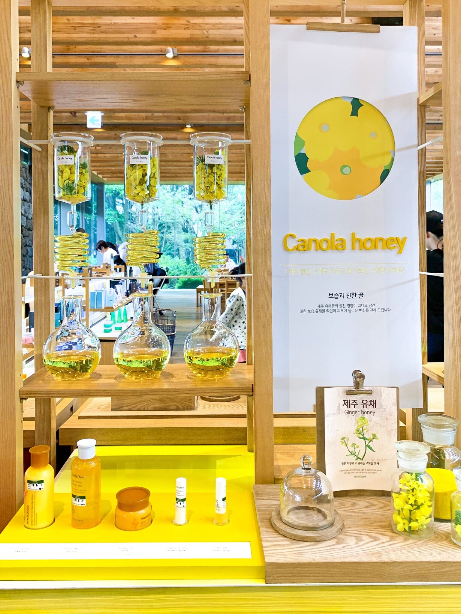 innisfree jeju house canola honey