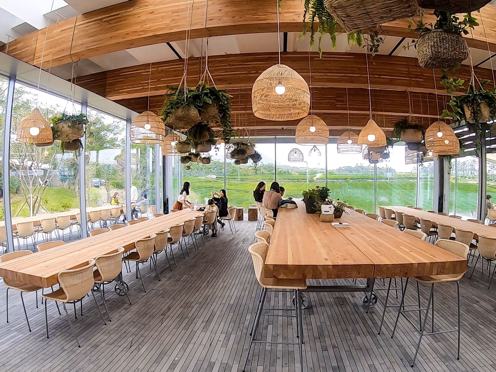 innisfree jeju house green cafe