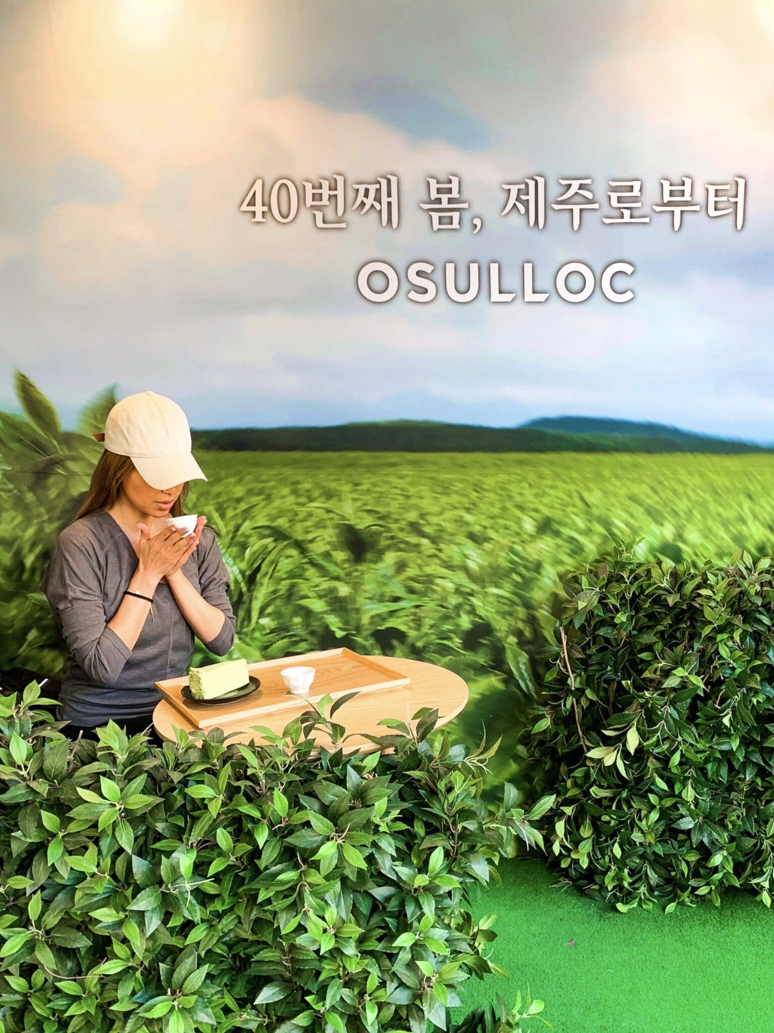 osulloc hot green tea