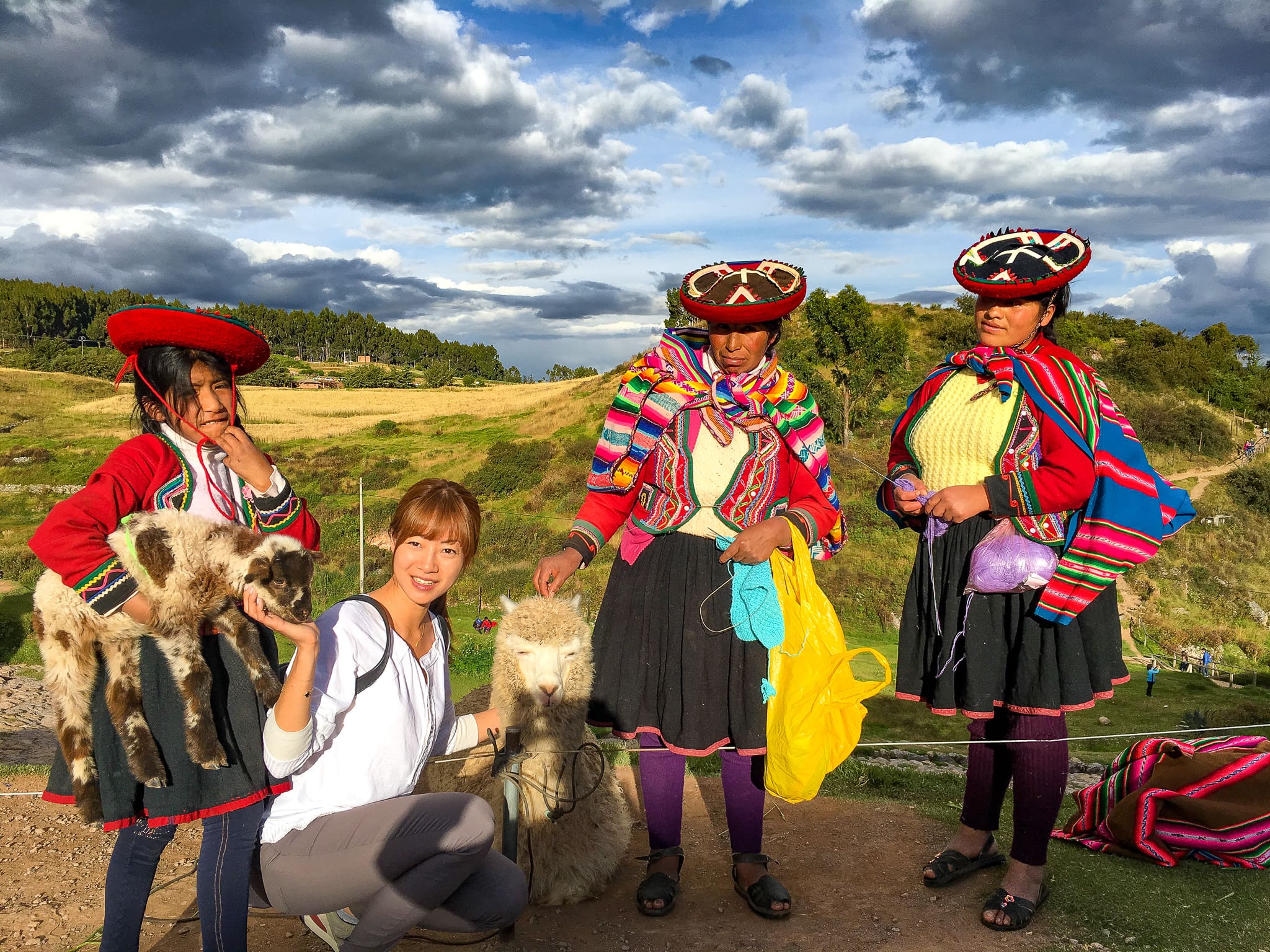 sacsayhuaman alpacas