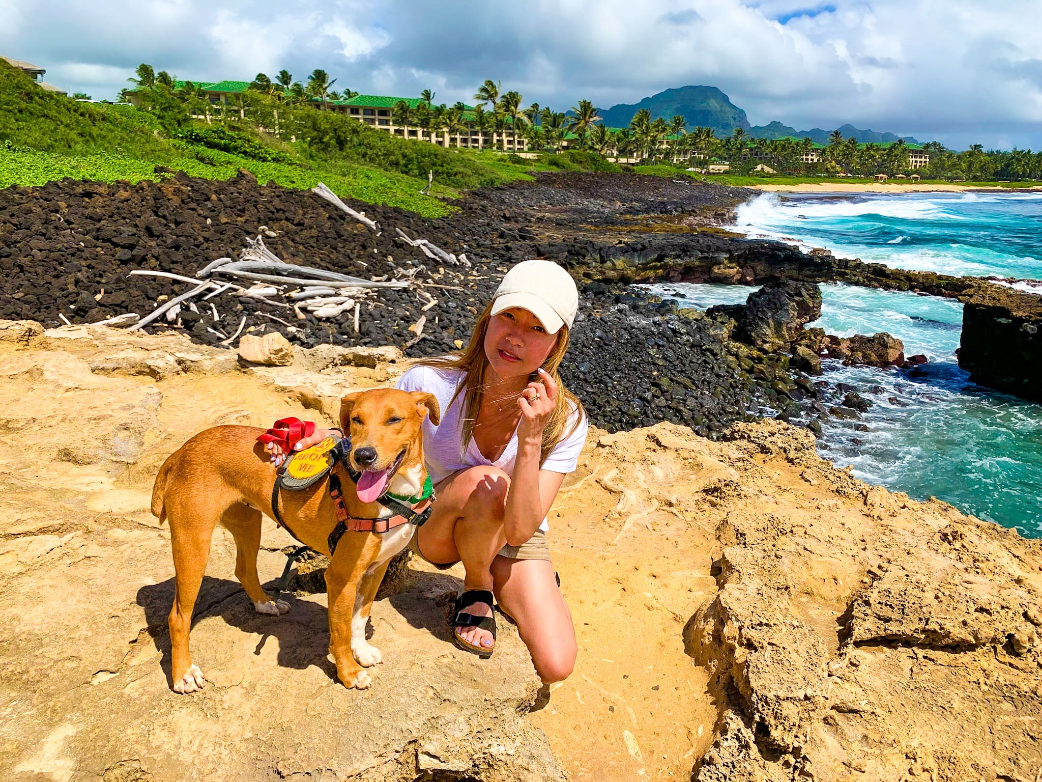 kauai shelter dog dates