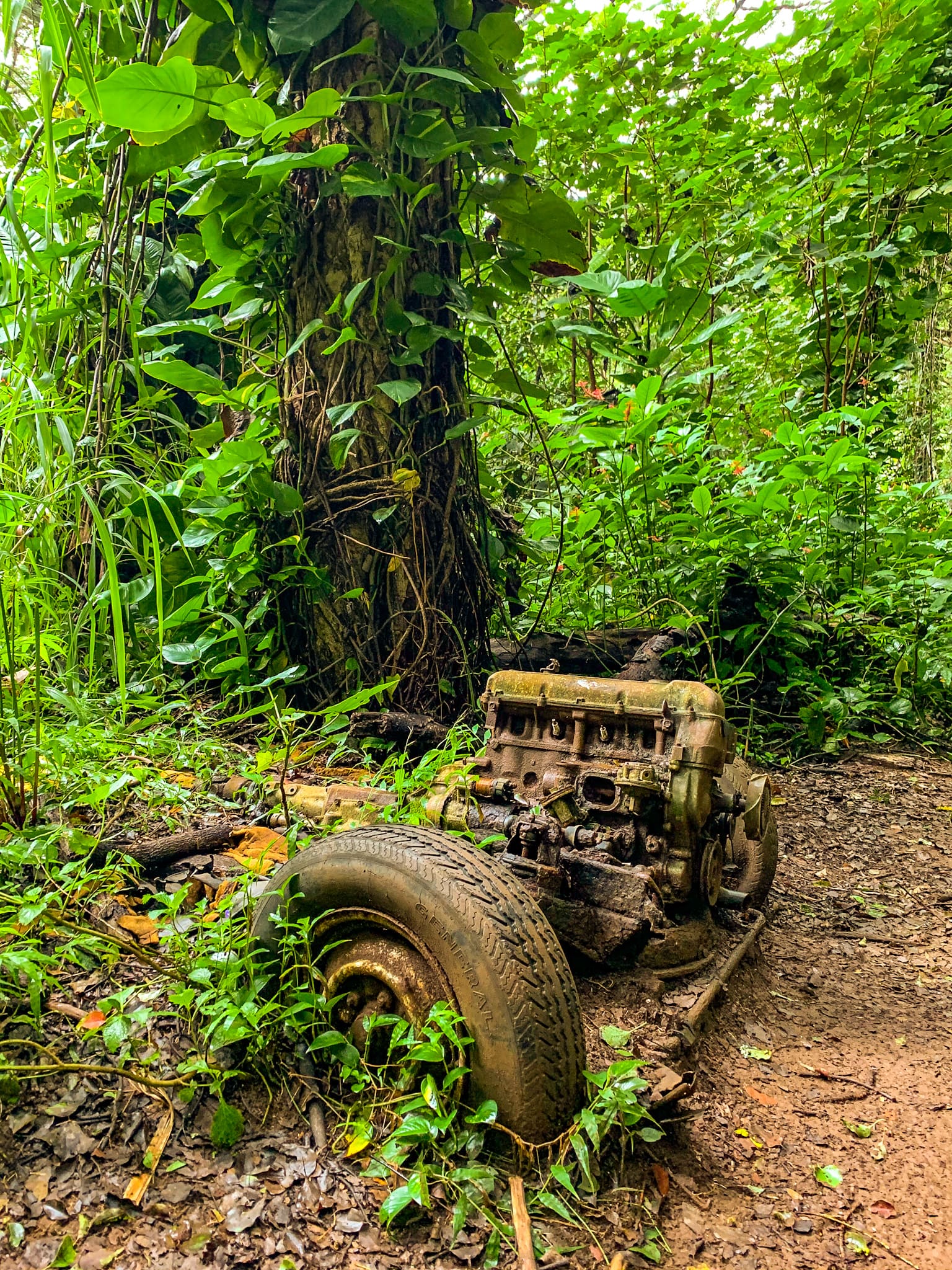 kauai hiking hoopii falls abandoned car