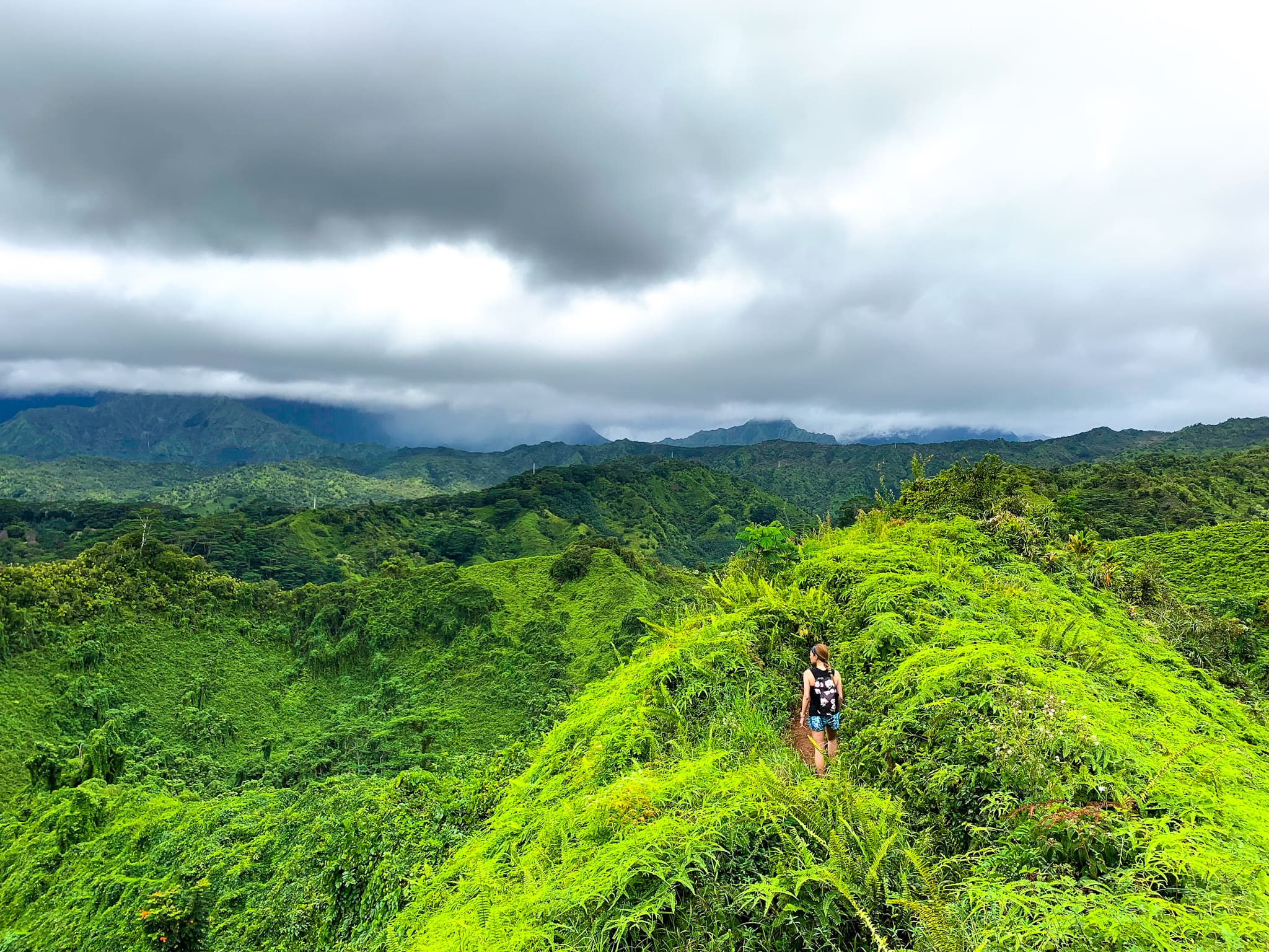 top kauai kuilau ridge trail