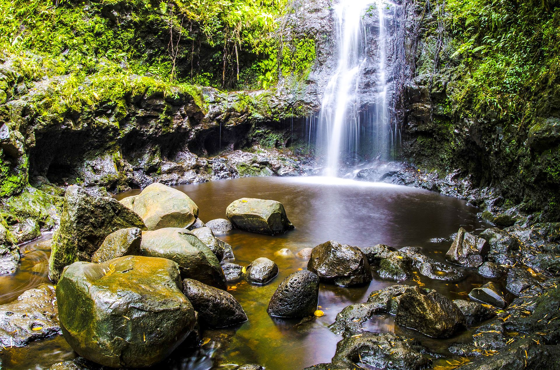 oahu hikes manoa falls