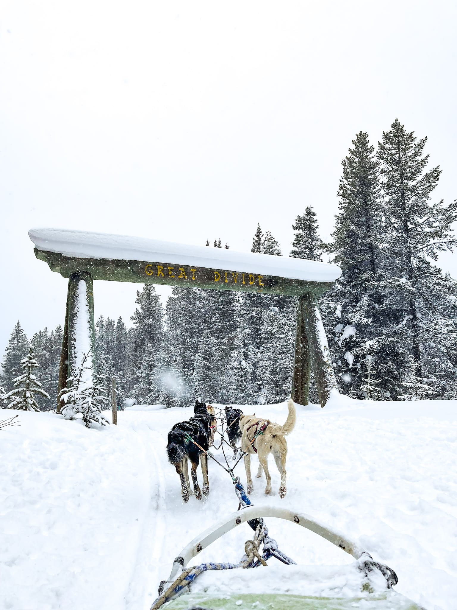 dog sledding great divide canada