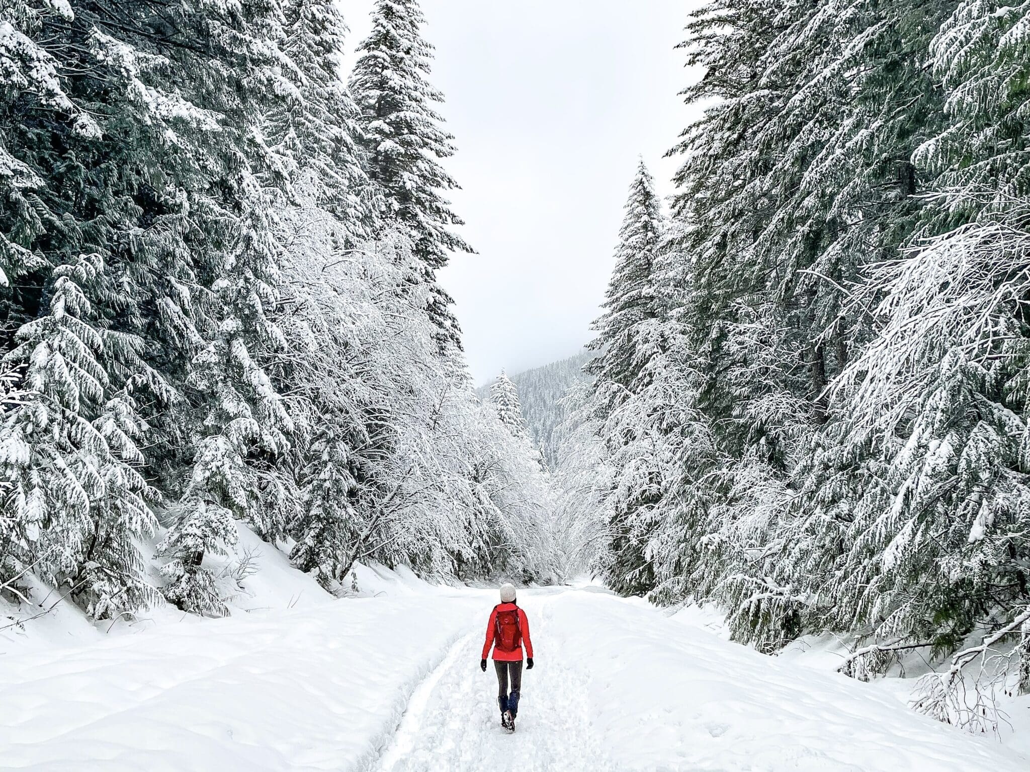 Denny Creek trail in winter