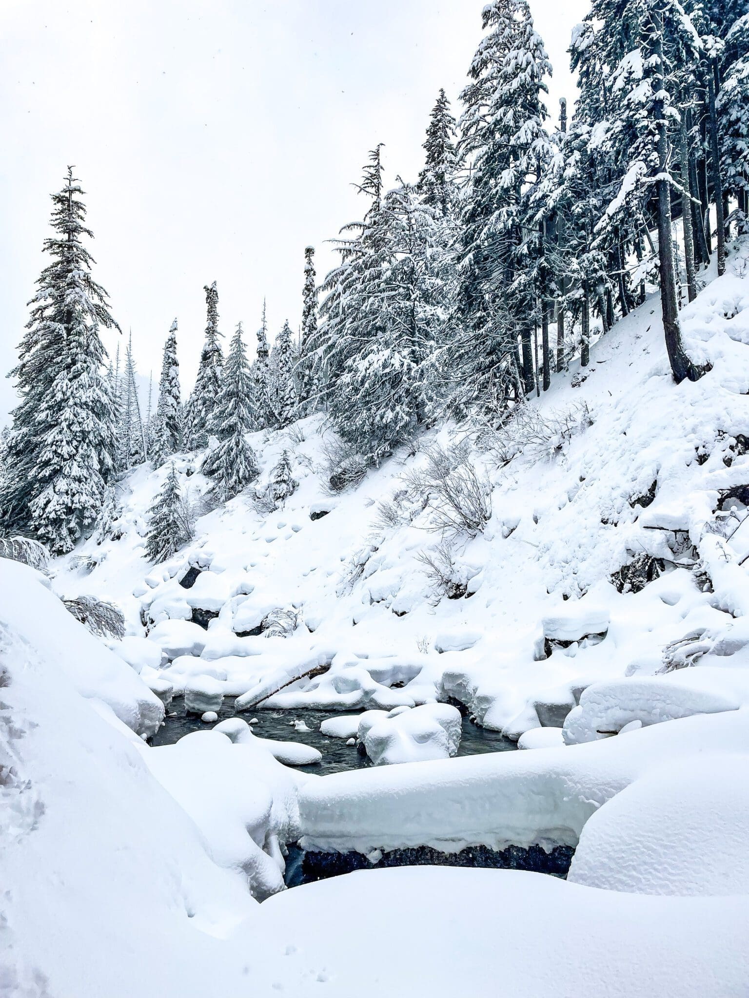 Snoqualmie Creek winter landscape