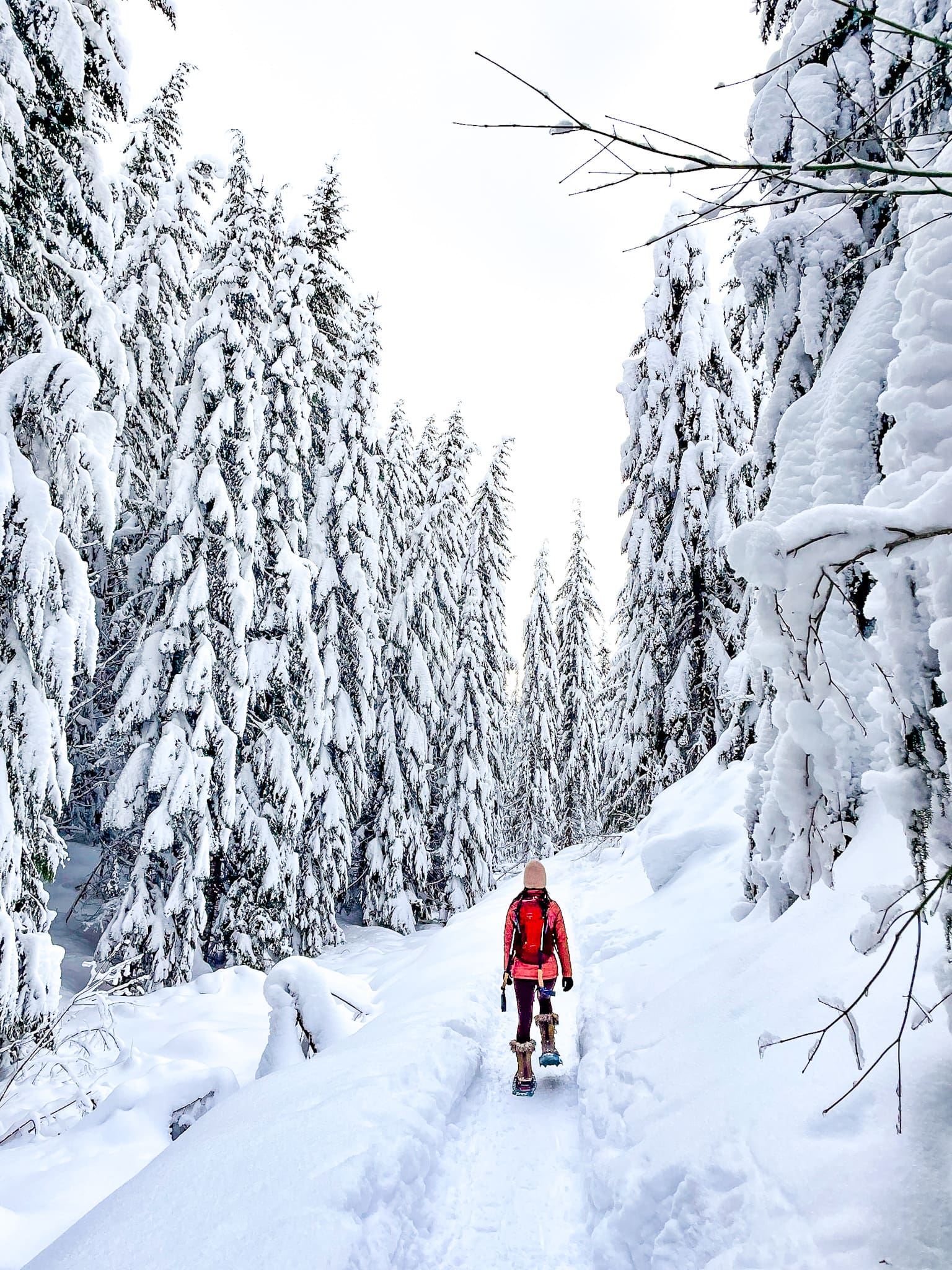 snowshoeing at Gold Creek Pond