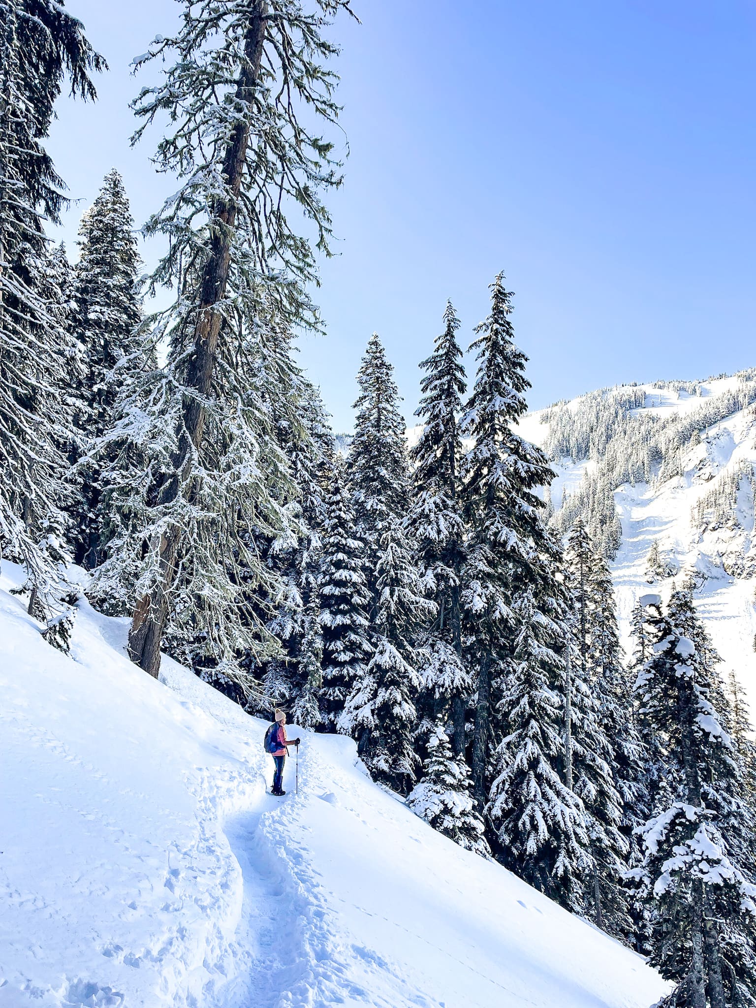 annette lake trail with snow