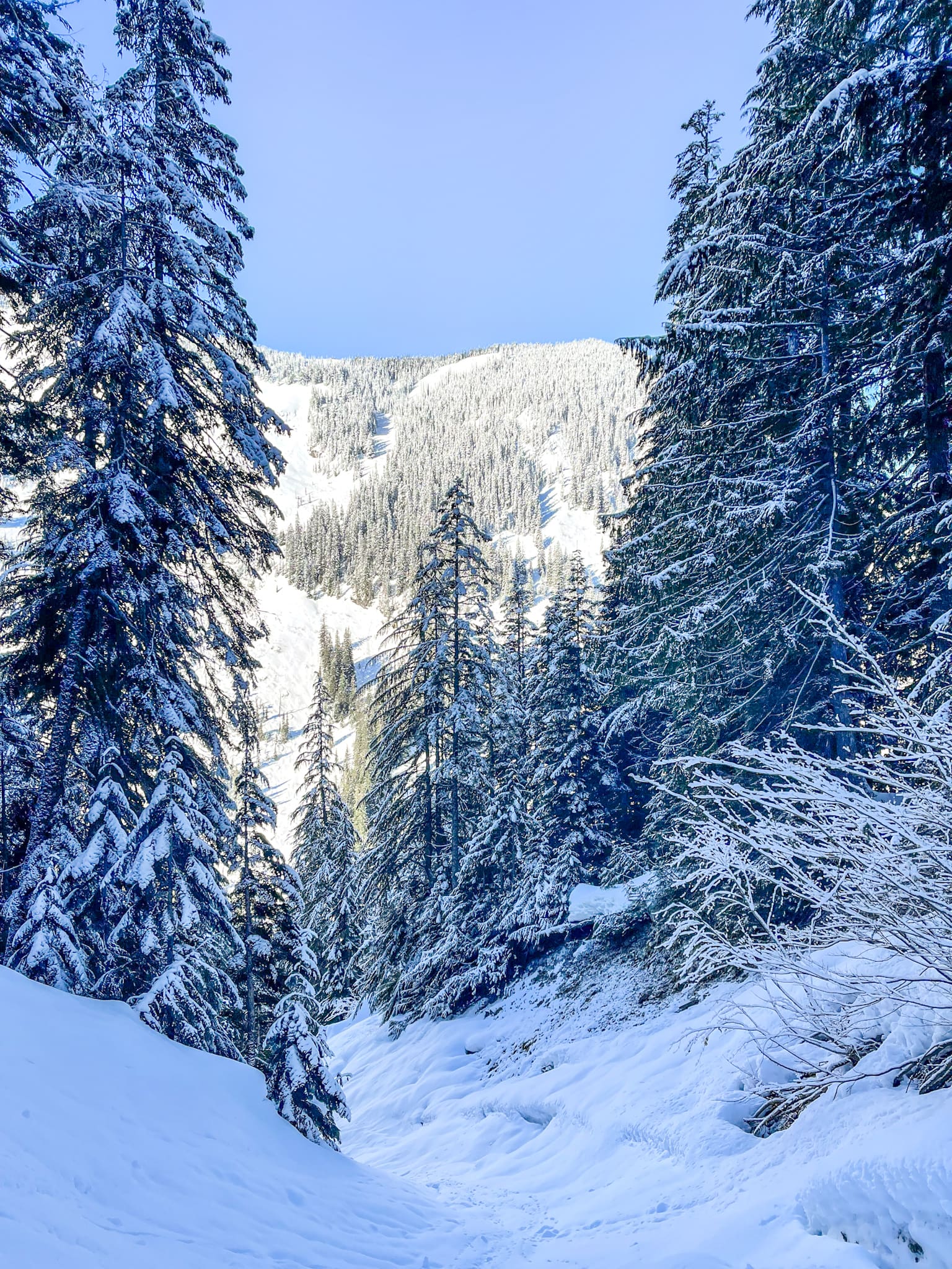 avalanche chutes 1