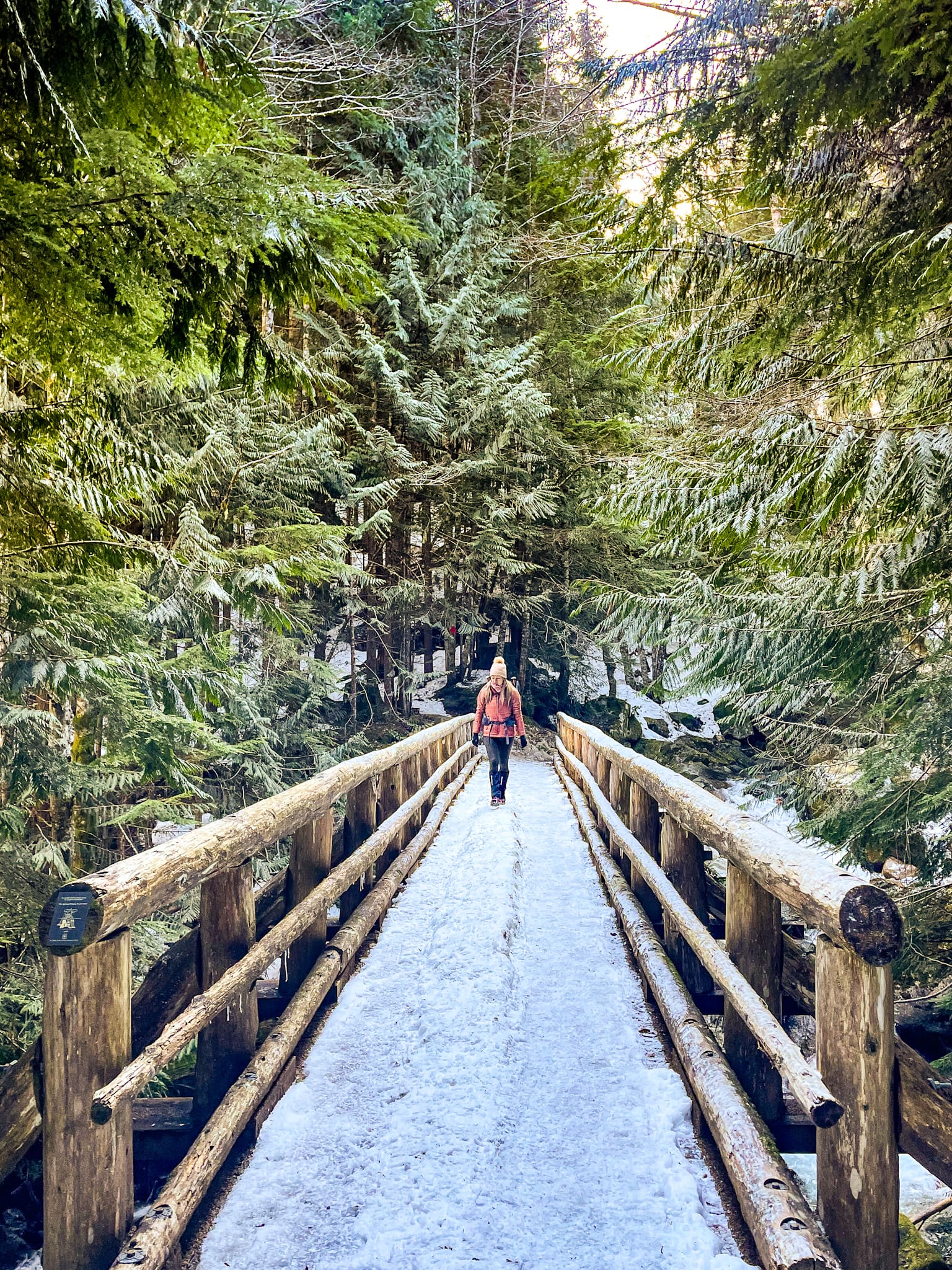 humpback creek wooden bridge