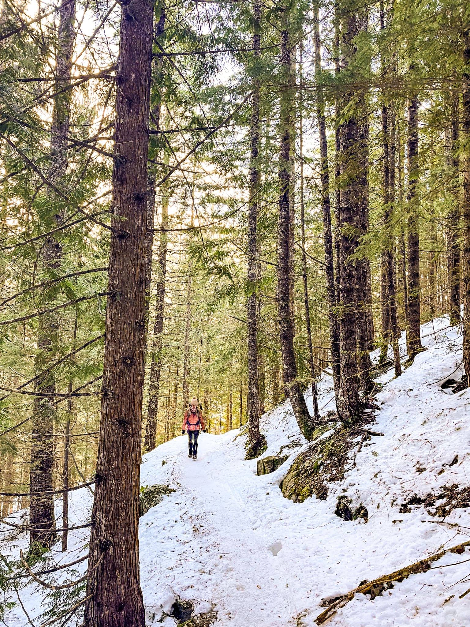 mt baker snoqualmie forest