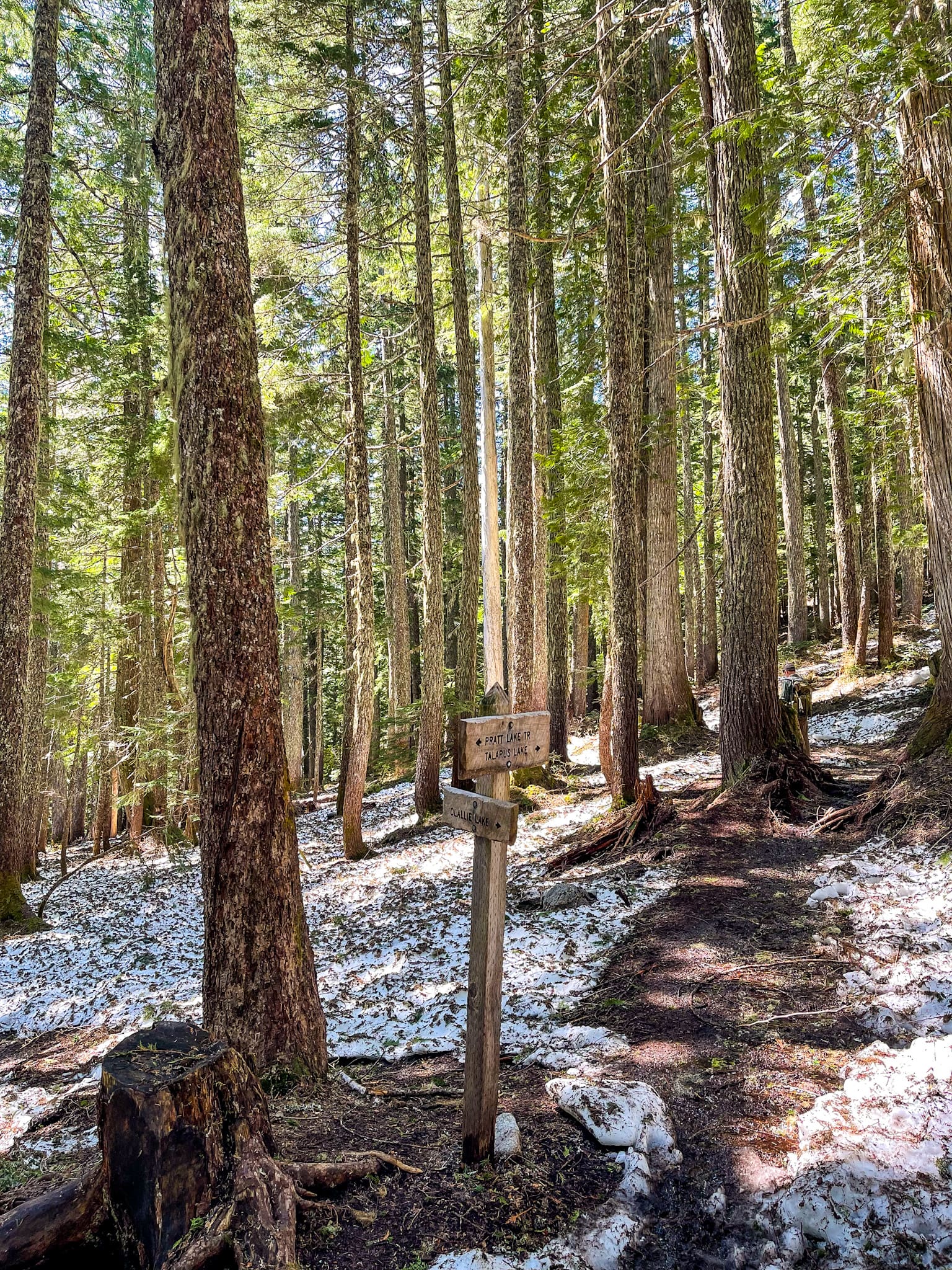 pratt lake trail junction sign