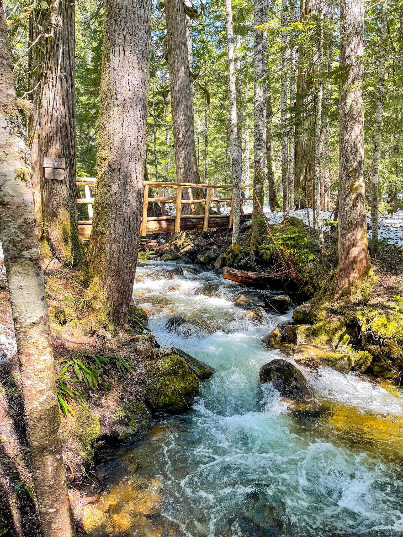 talapus creek waterfall